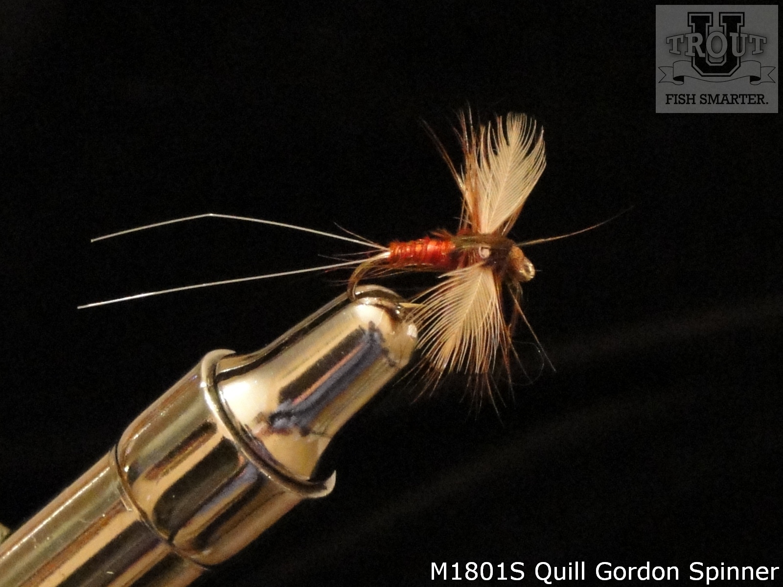 Quill Gordon Spinner Trout Pro Store Quill Gordon Spinner Trout Pro Store